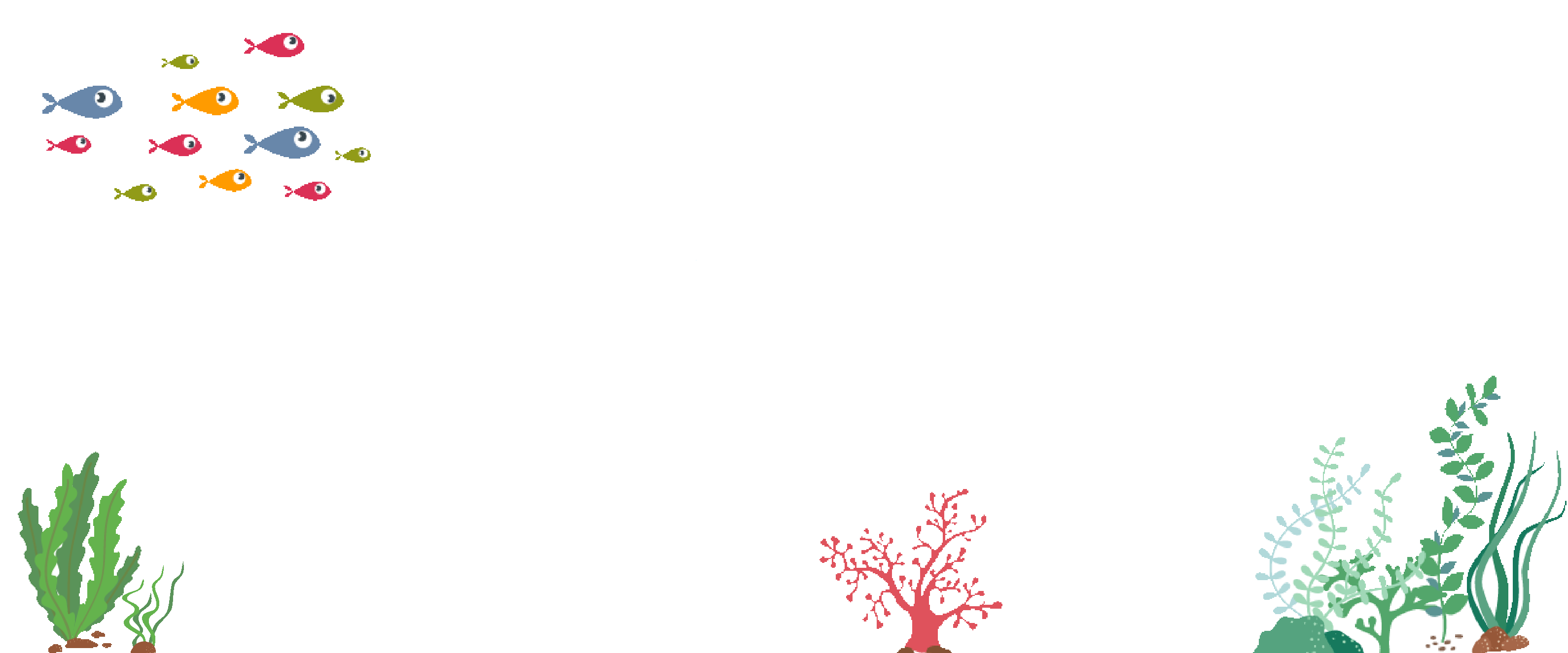 ウミガメと出会う